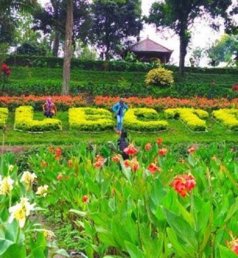 8 Tempat Wisata di Cirebon Terbaru
