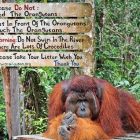 7 Wahana Jungleland Bogor yang Wajib Dicoba