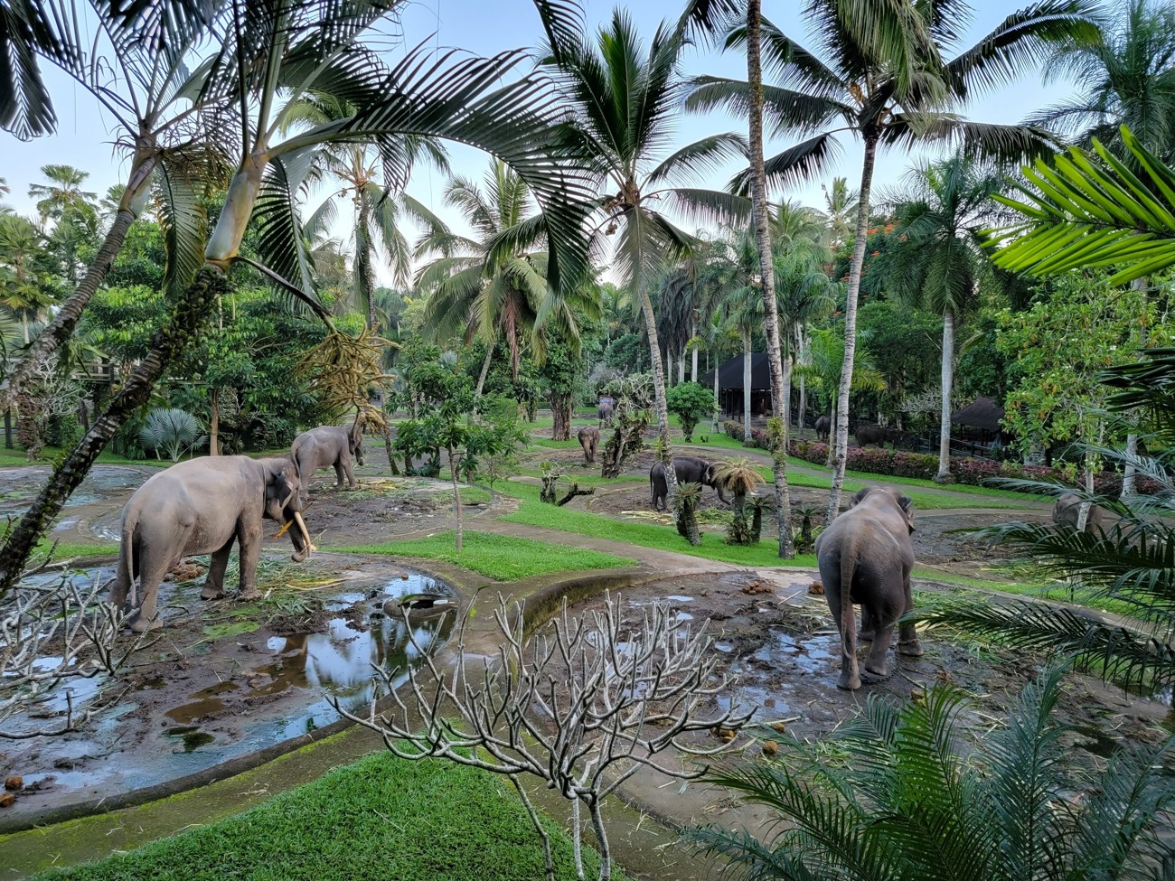 Mason Elephant Park & Lodge
