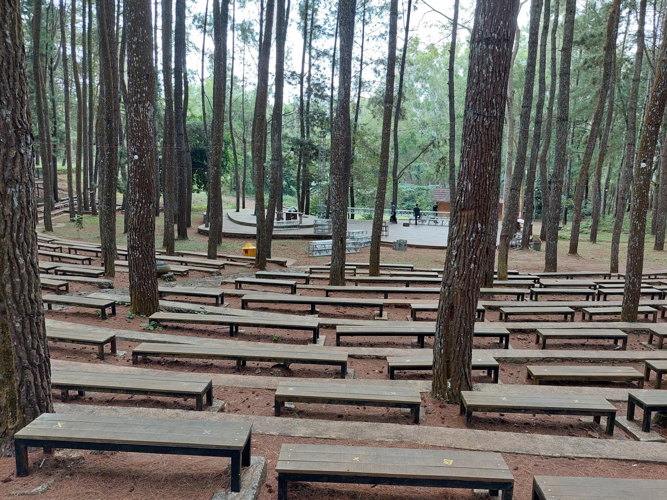 Hutan Pinus Mangunan Dlingo
