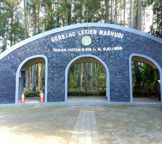 Taman Hutan Raya Tahura Ir. H. Djuanda