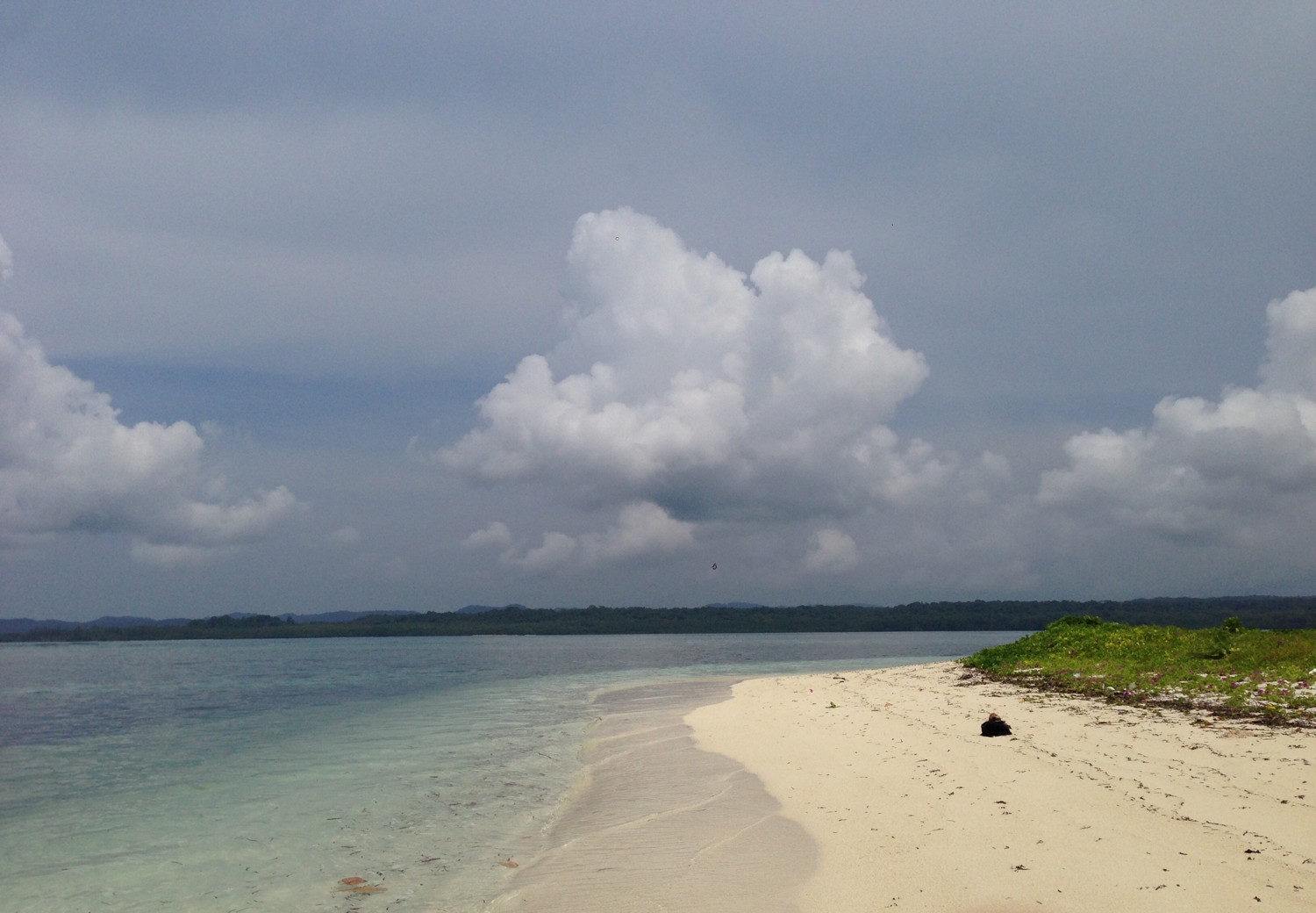 Pulau Enggano