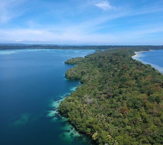 Pulau Kakaban