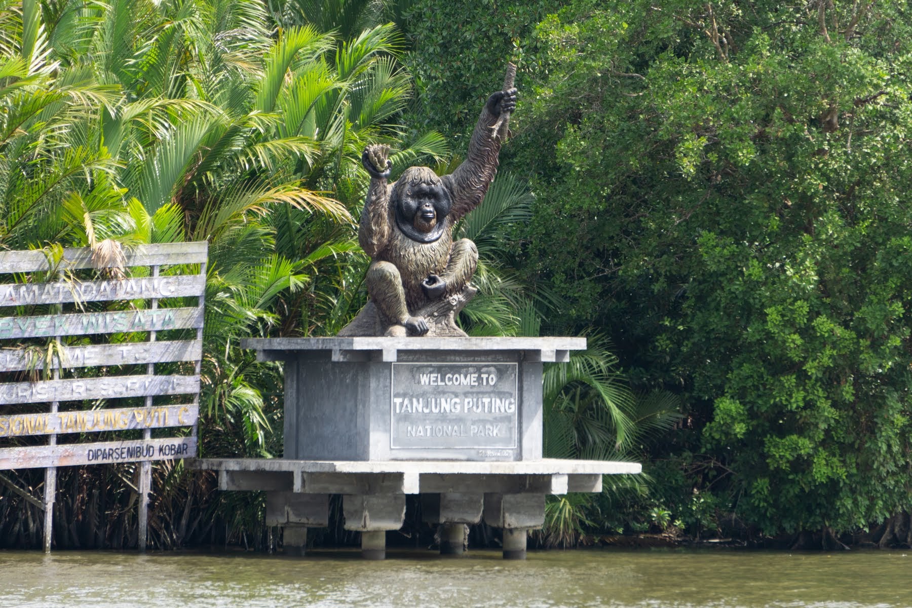 Taman Nasional Tanjung Puting