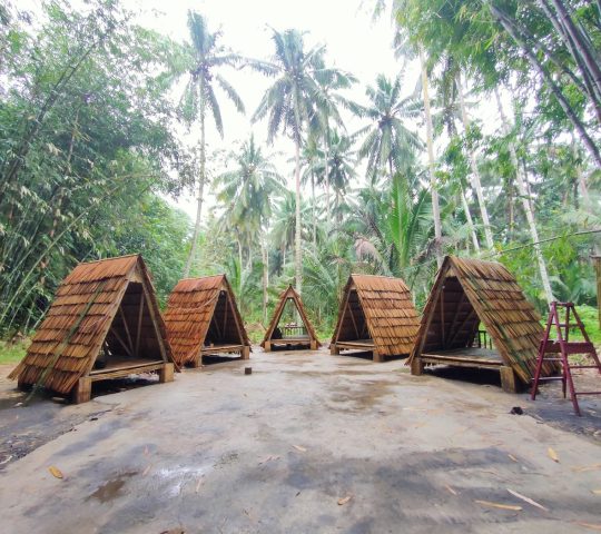 Hutan Bambu Alu
