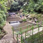 7 Kegiatan dan Wahana di Bali Safari & Marine Park