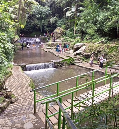 8 Wahana dan Aktitivas di Bali Zoo