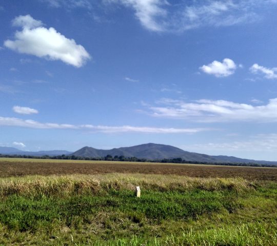 Taman Nasional Rawa Aopa Watumohai
