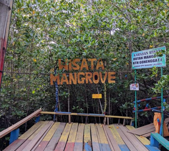 Wisata Hutan Mangrove Donggala