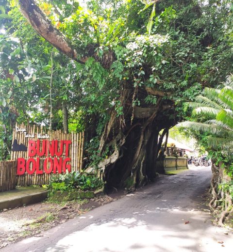8 Tempat Wisata Populer di Sumatera Utara