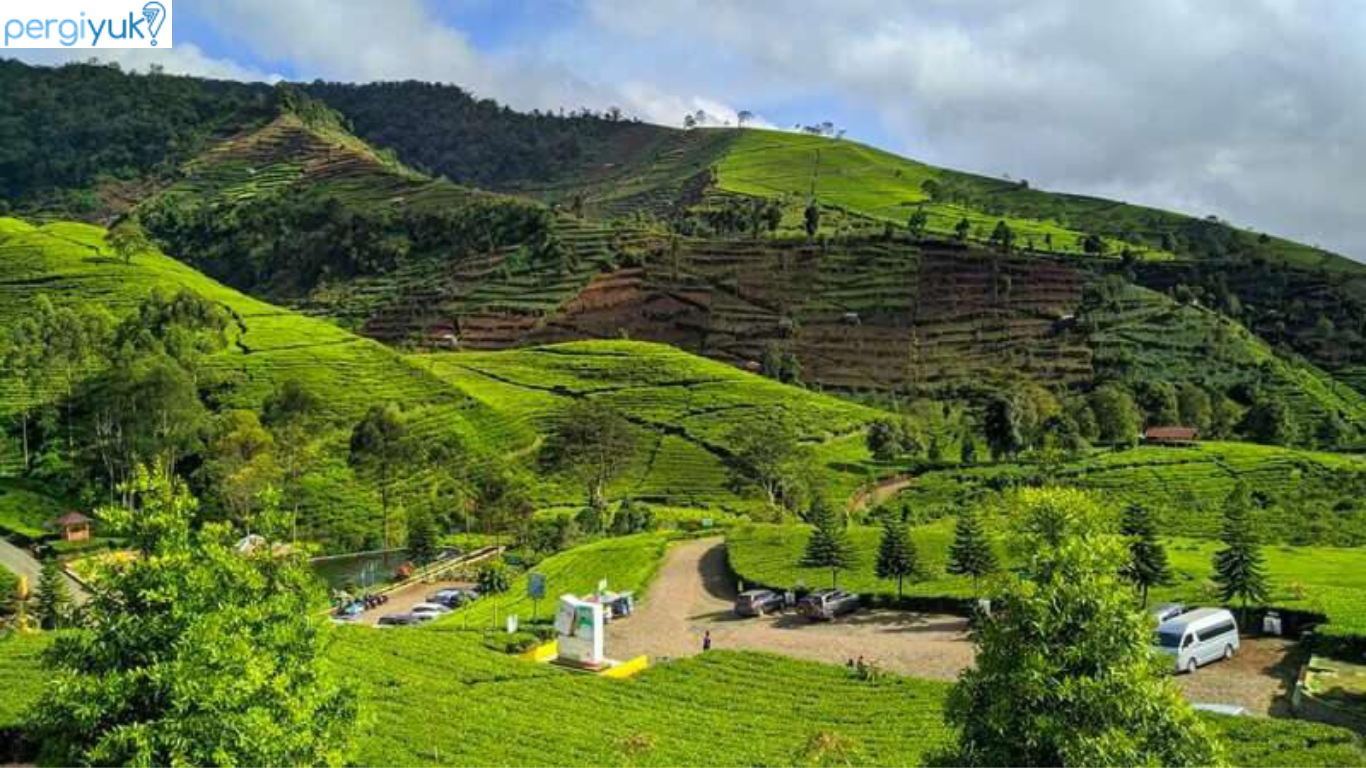 10 Tempat Wisata di Brebes yang Asyik, Hits dan Gratis