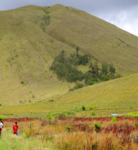 10+ Tempat Wisata di Tulungagung Paling Hits dan Wajib Dikunjungi