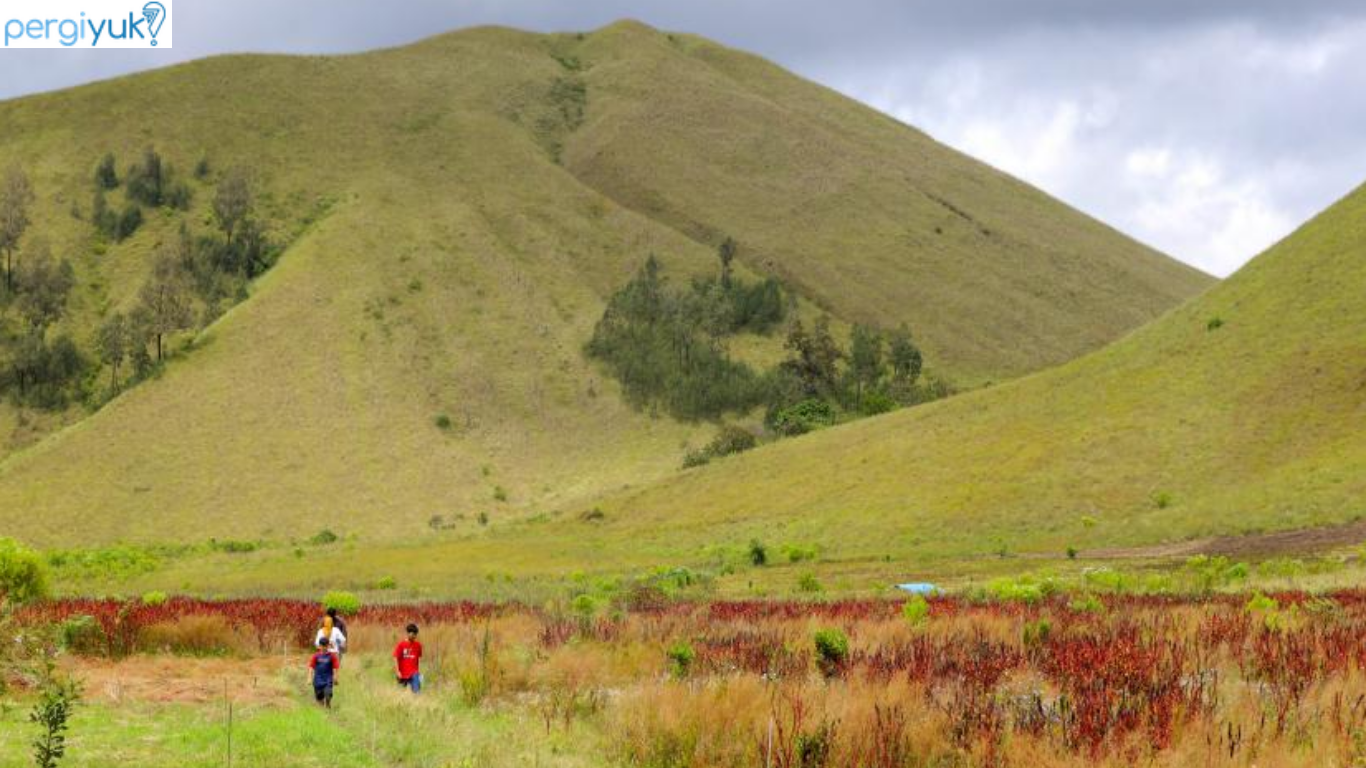 6 Tempat Wisata di Bondowoso Asri dan Banyak Spot Foto