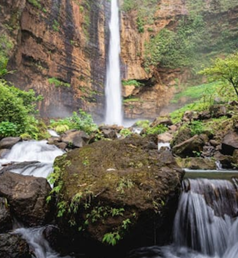 10+ Tempat Wisata di Tulungagung Paling Hits dan Wajib Dikunjungi