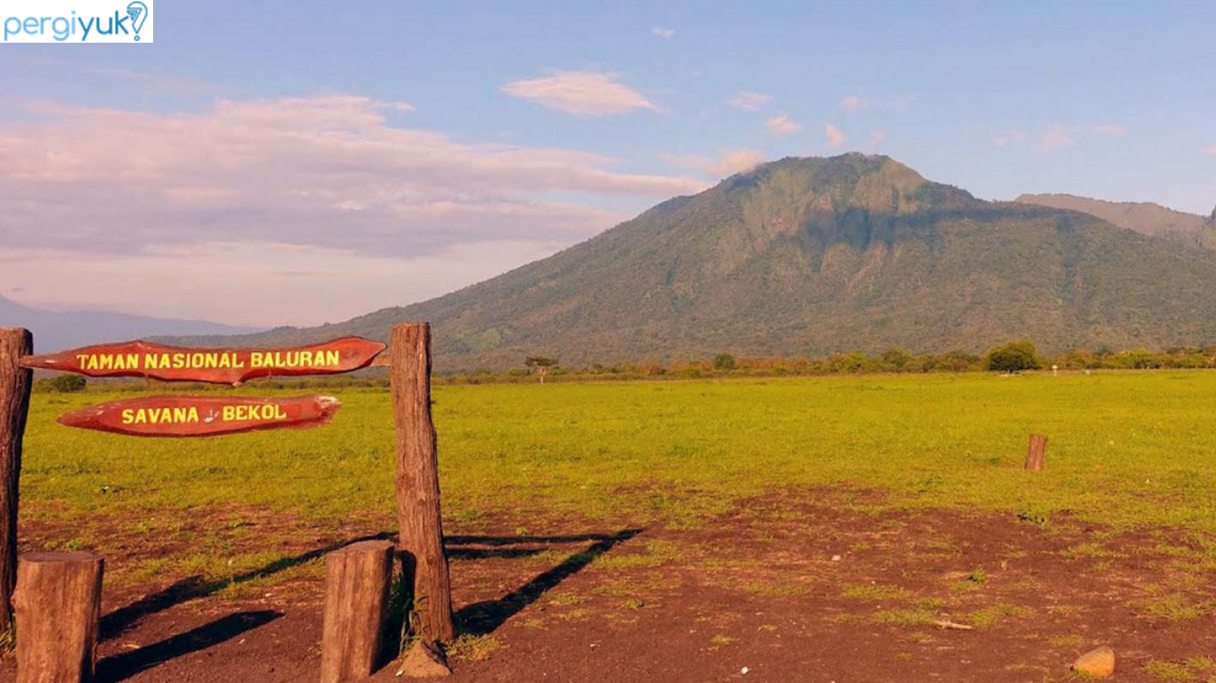 8 Tempat Wisata di Situbondo yang Bikin Liburanmu Makin Seru!