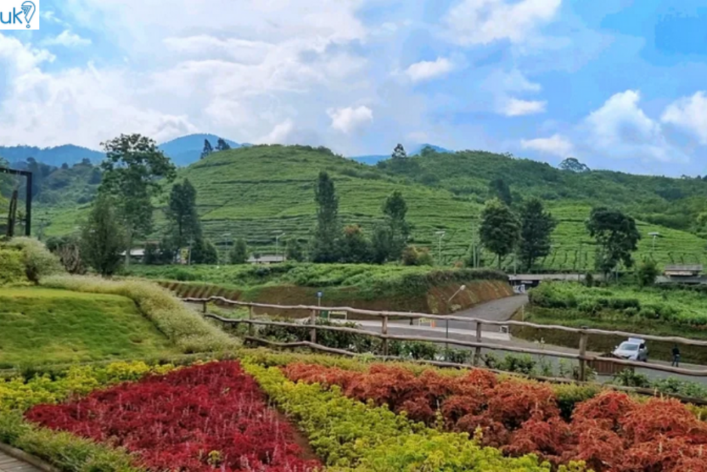 10+ Tempat Wisata di Subang yang Hits Wajib Kamu Kunjungi