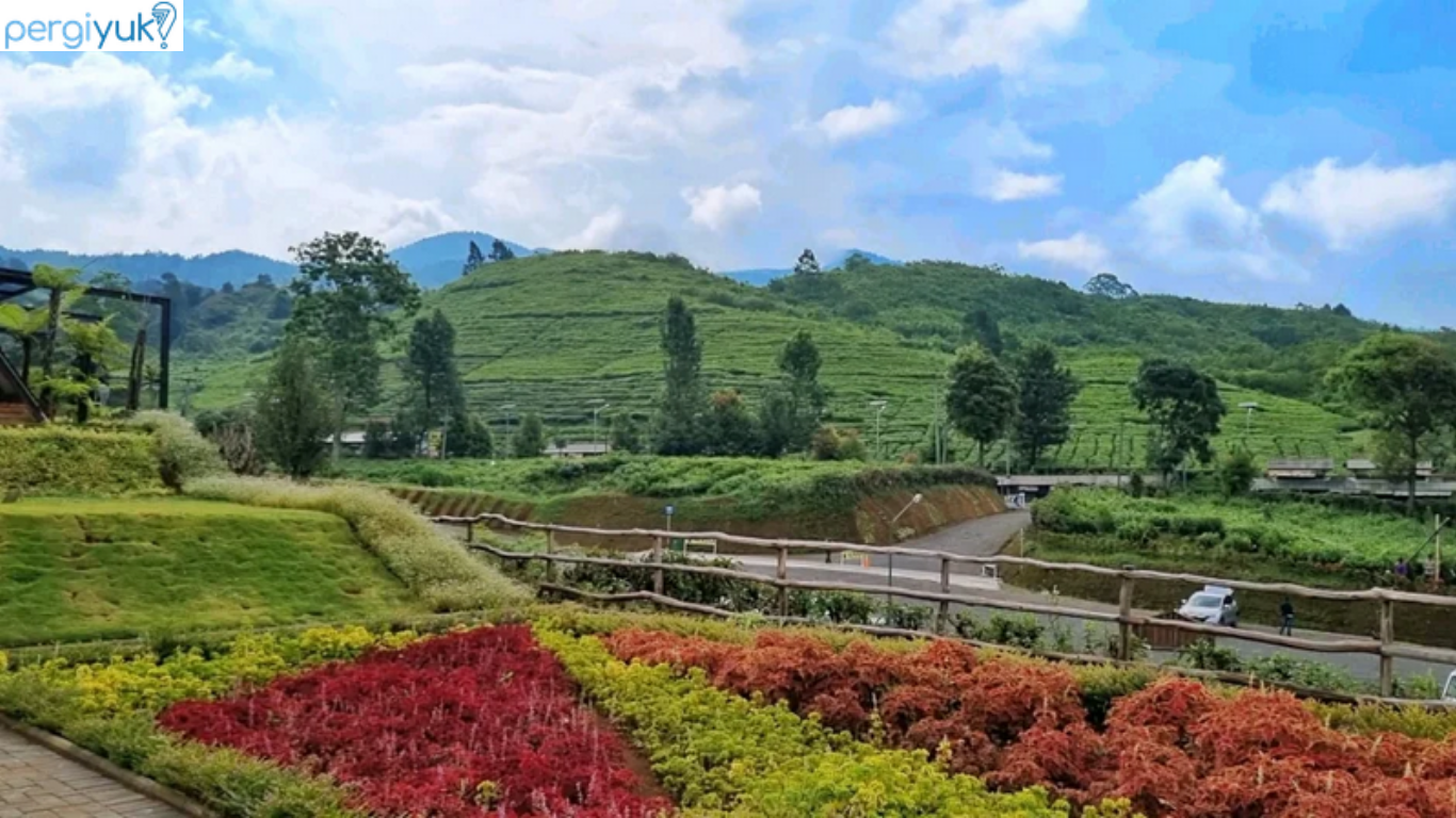 10+ Tempat Wisata di Subang yang Hits Wajib Kamu Kunjungi