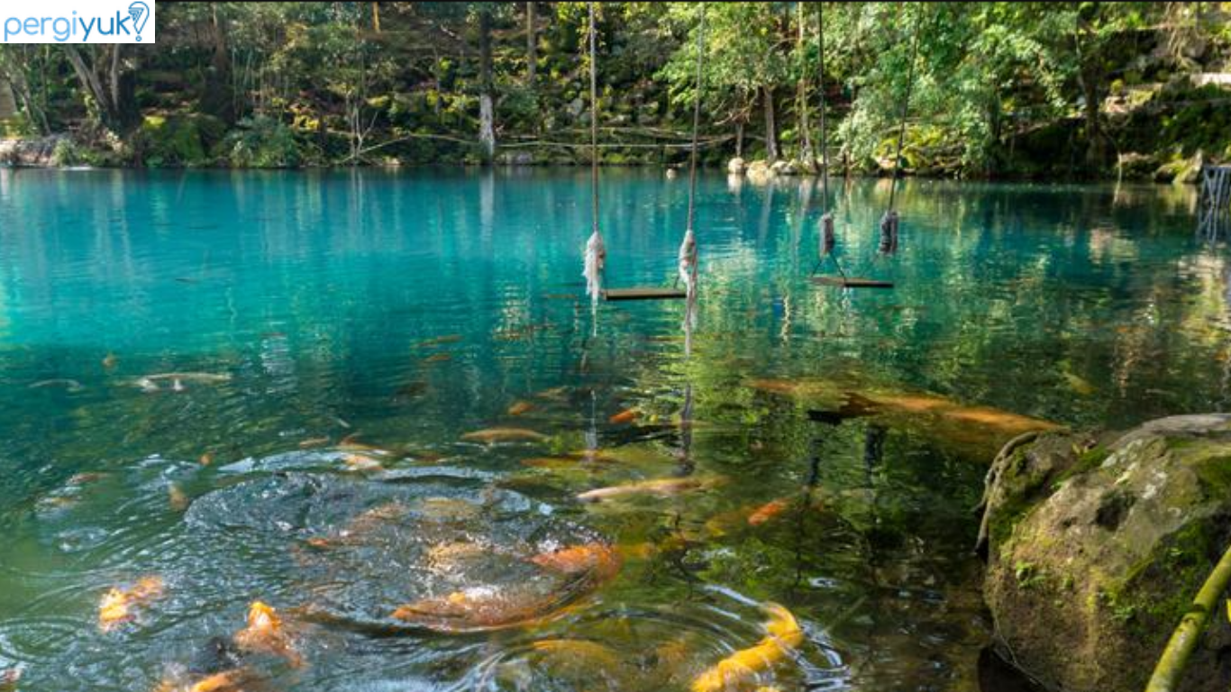 10 Tempat Wisata di Kuningan yang Wajib Kamu Datangi!