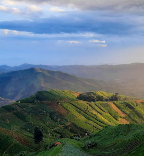 11 Tempat Wisata di Mataram yang Penuh Sejarah, Budaya dan Religi