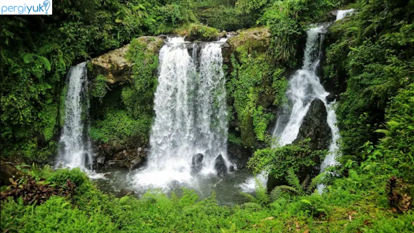 Mau Refreshing? Jelajahi 8 Destinasi Wisata Alam Banyumas Ini!